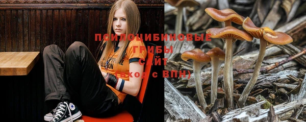 MESCALINE Баксан