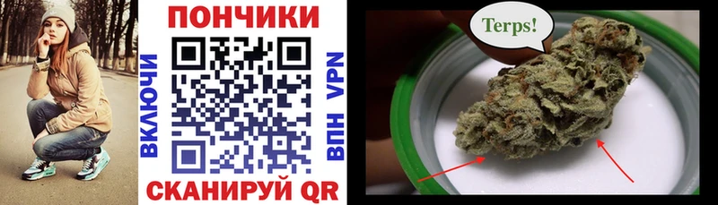 Купить где  Петушки  Шишки марихуана семена 